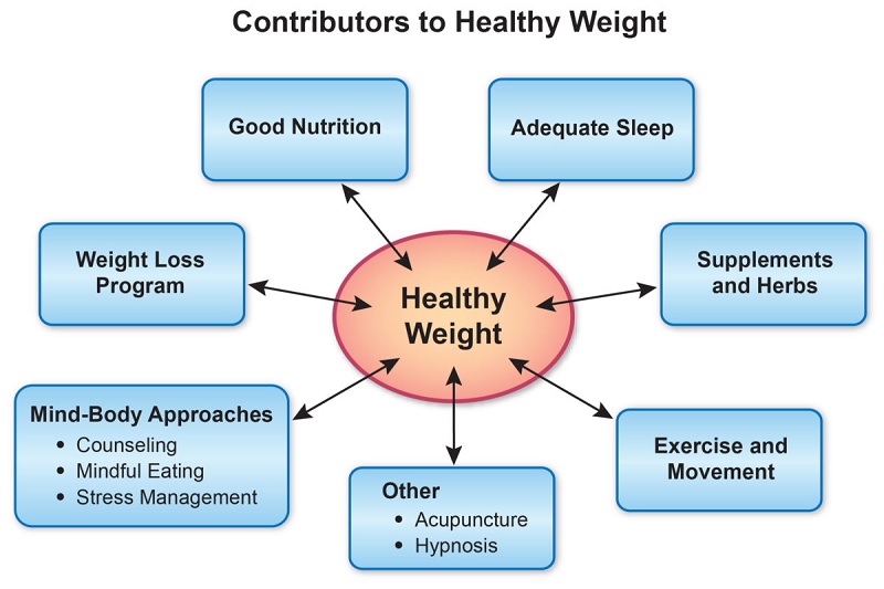Common Weight Management Strategies for Healthy Living 